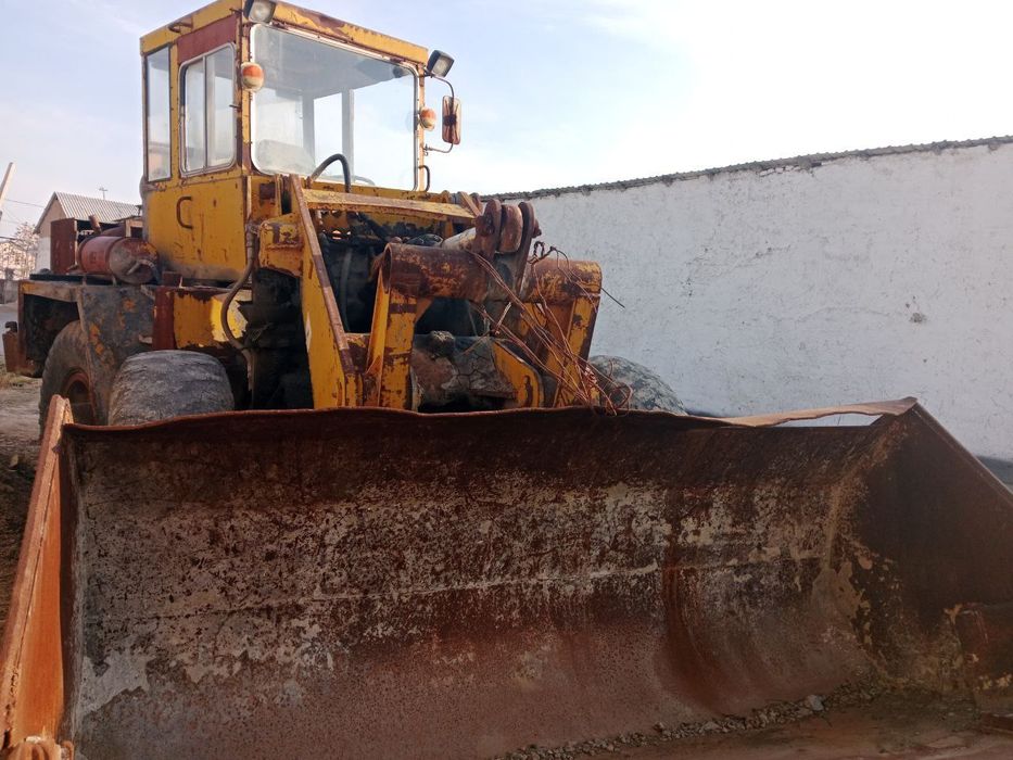 Paguruschik Palak Delta