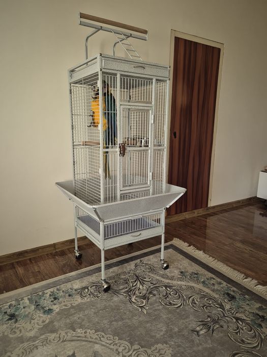 Cușcă pentru Papagali