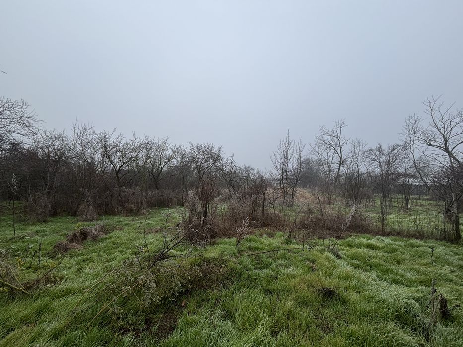 Teren vanzare + constructie / 2499 mp / electricitate+apa