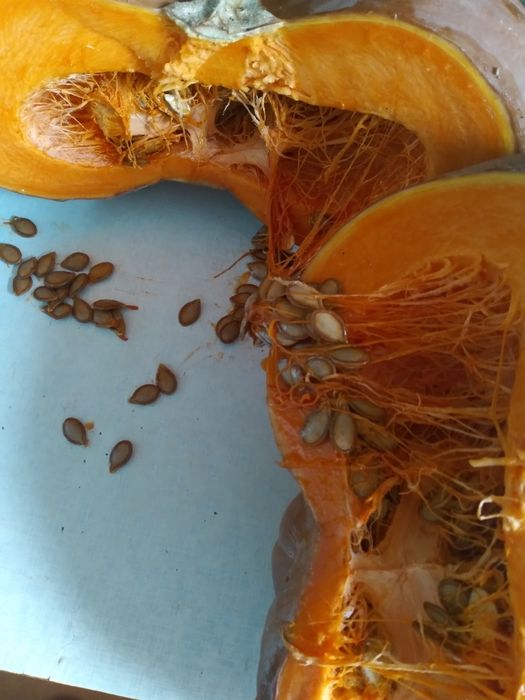 Тыква кусочками сладкая