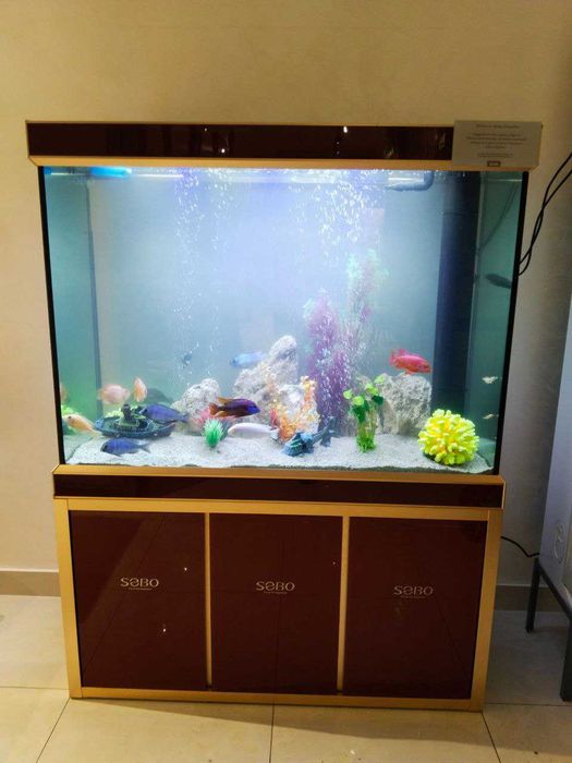 Профессиональная чистка аквариума Aqua life