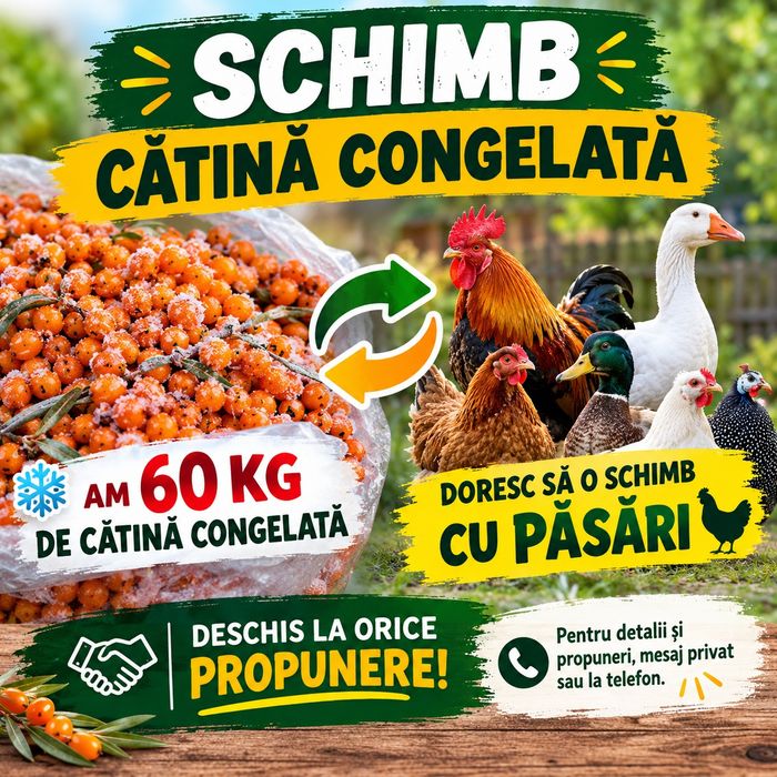 Cătina congelată