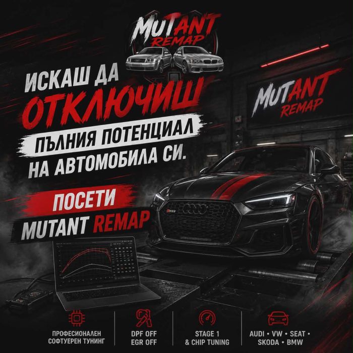 Софтуерен чип тунинг/ремап
