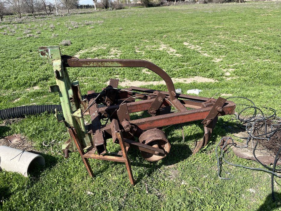 Соқа,Арыс қаласында тұр