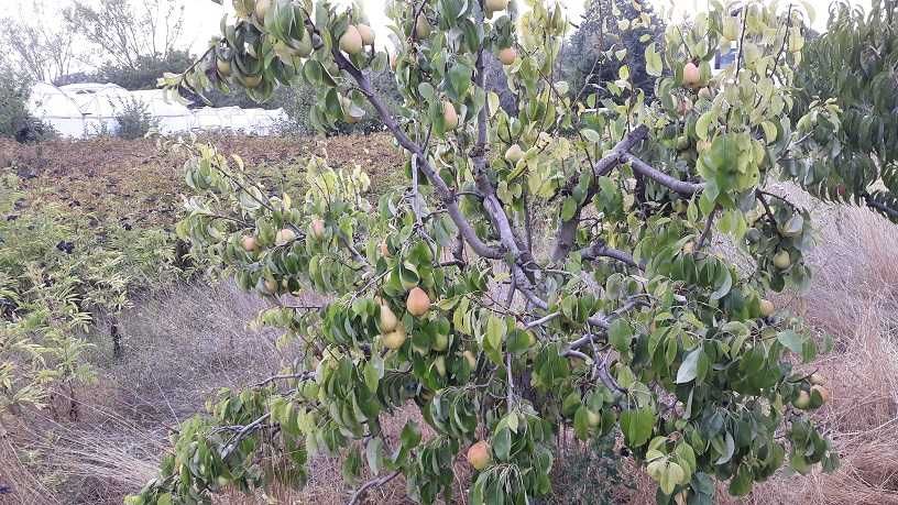 Сграда 90кв.м с Акт.16, с ток и вода в зем. парцел 4,5дка до регулация