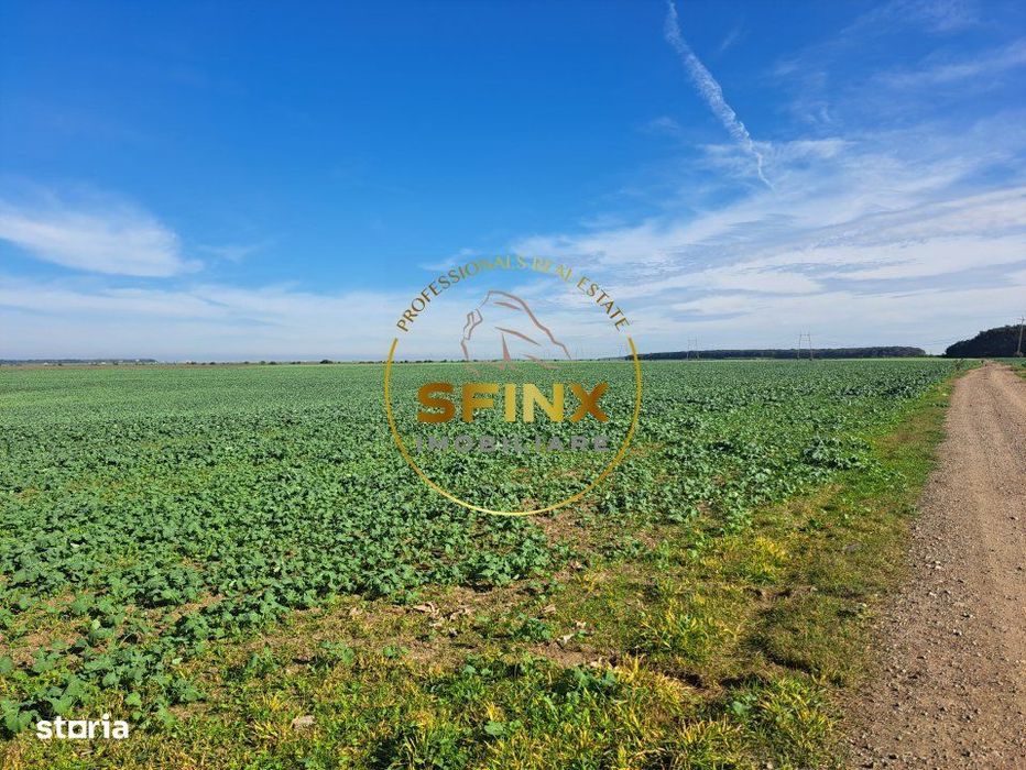 Teren intravilan Branesti 27000 mp km 12 A2 investitie