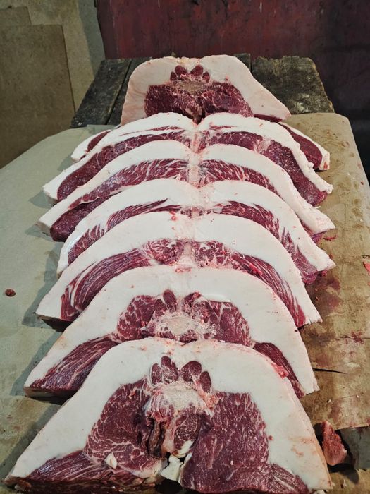 Продам согым сирактап