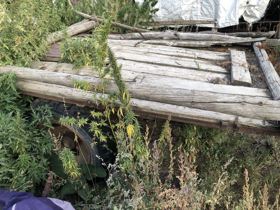 Трактор Т-25