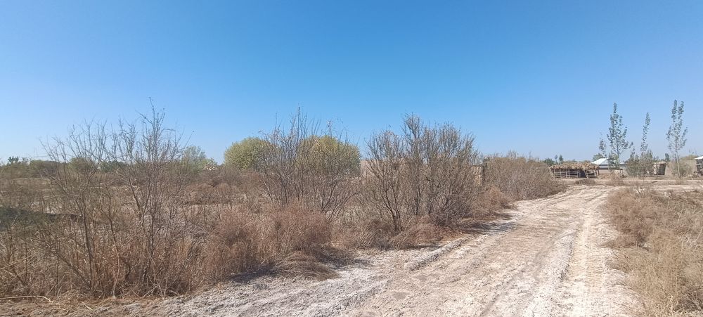 Йер сотилади 6 сотих