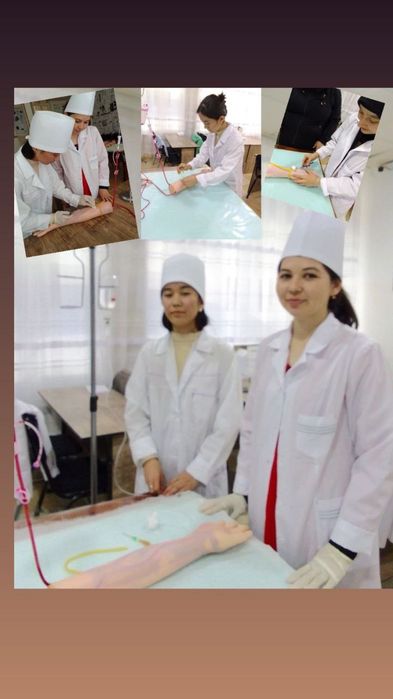 Хамширалик укув курси