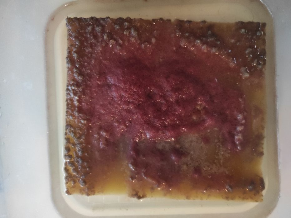 Продам культуру червя "Изя"