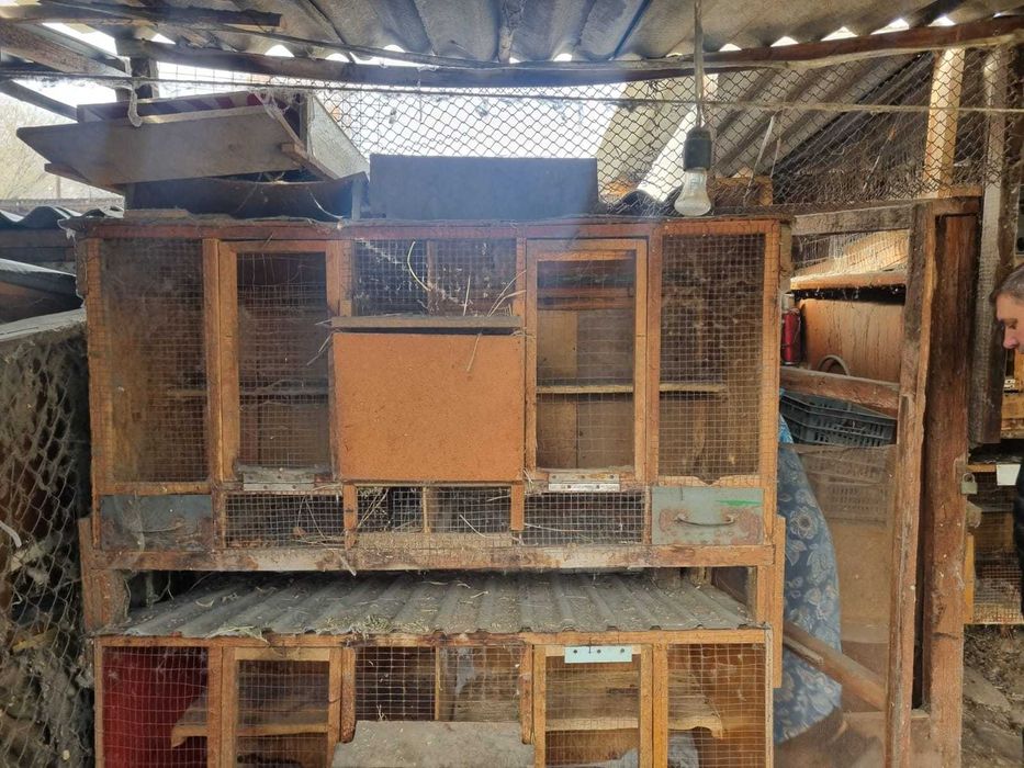 Клетки для кроликов, продам.