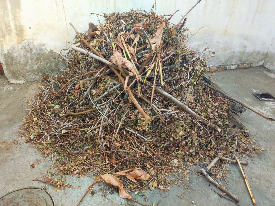 Утин дрова кимга керак