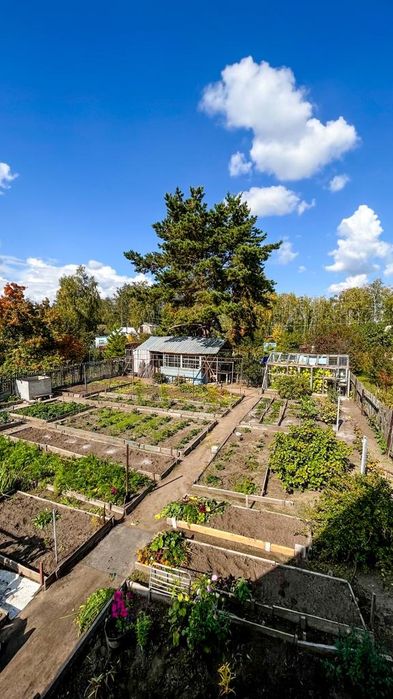 Продам дачу Горизонт ( не доезжая до Солнечного)