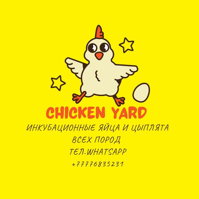 Инкубационные яйца