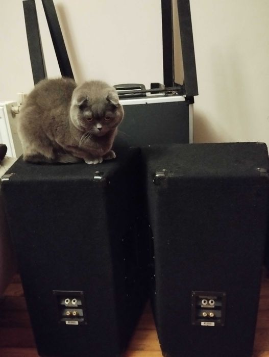 Pro sound колони перфектни