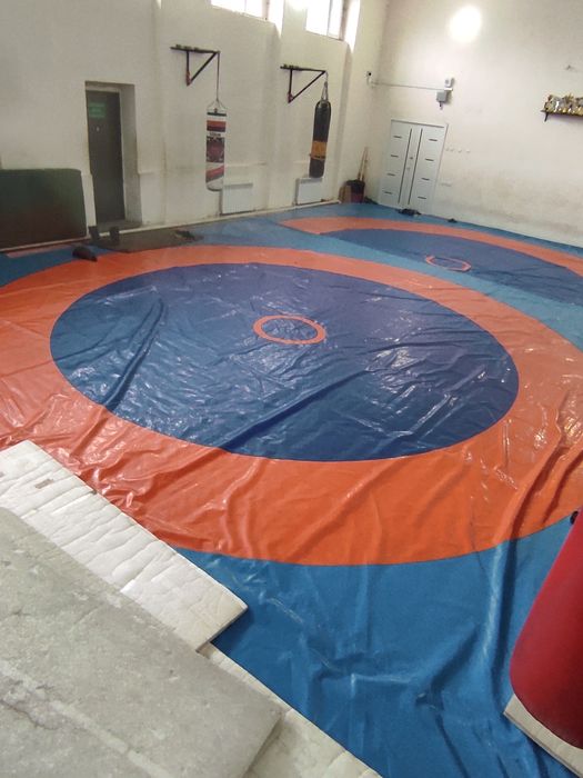 Борцовский ковер