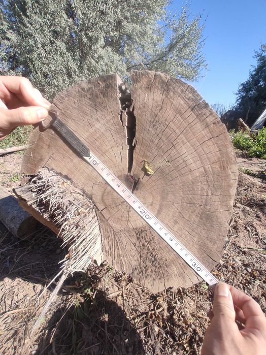 Продается длины бревно 6+ метра.