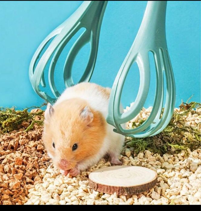 Сет аксесоари за хамстер