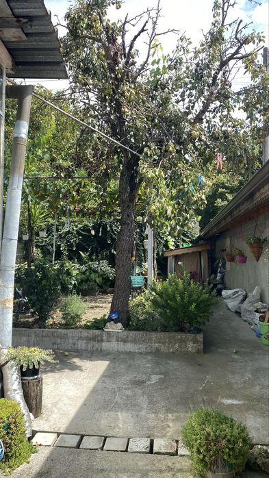 Продавам къща с. Лозево близо до гр  Шумен