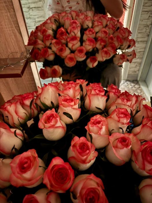 101 штук роза шарымен