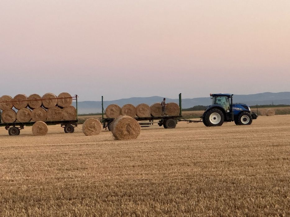 Baloti din paie de grau 2025