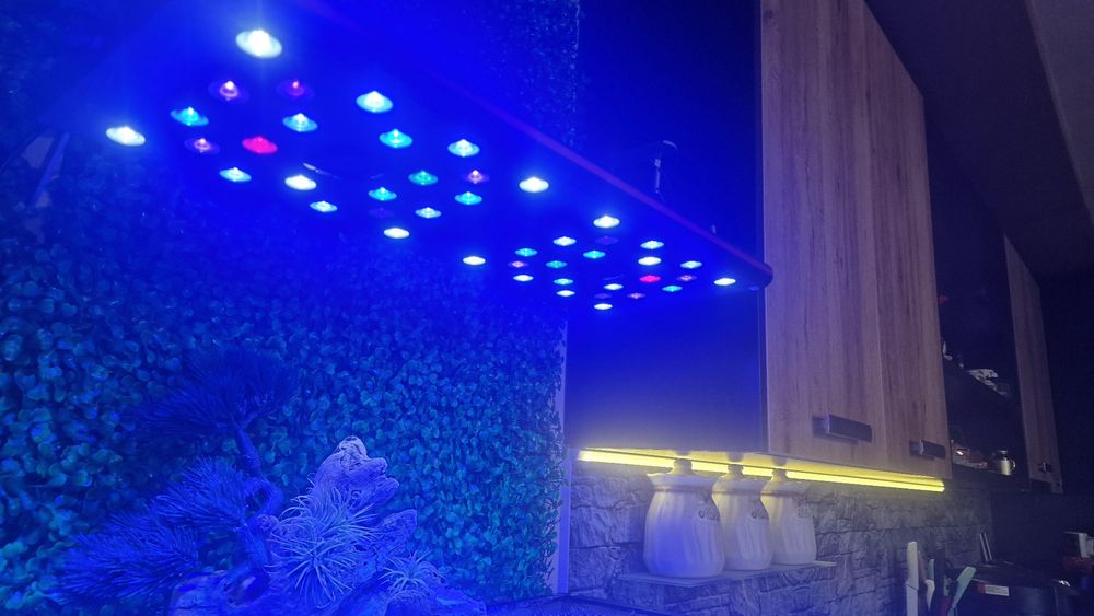 Соленоводен аквариум