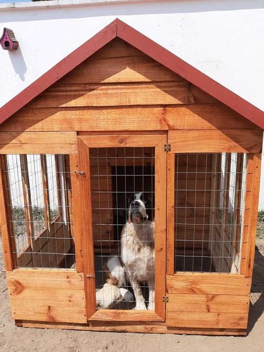 Căsuțe pentru câini la comandă – diverse modele