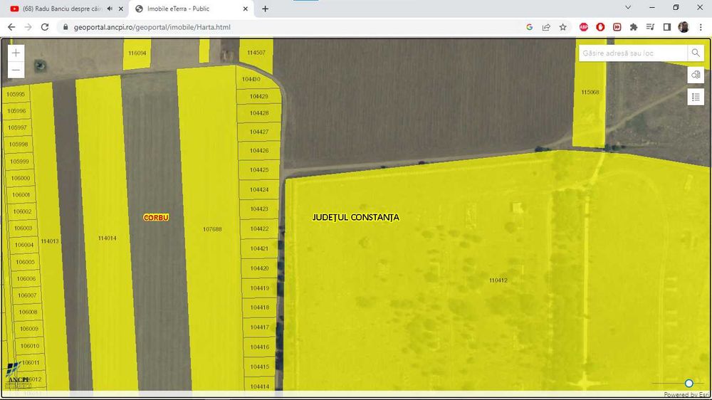 teren corbu 799m2  constanta