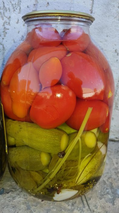 Продам огурцы, помидоры