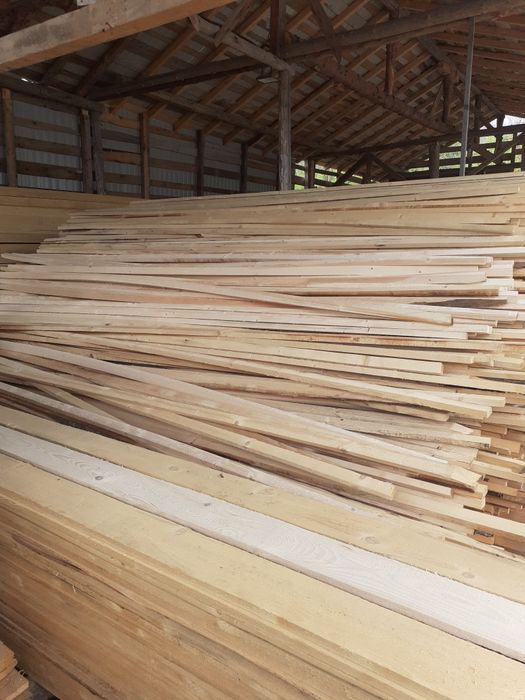 cherestea rășinoase