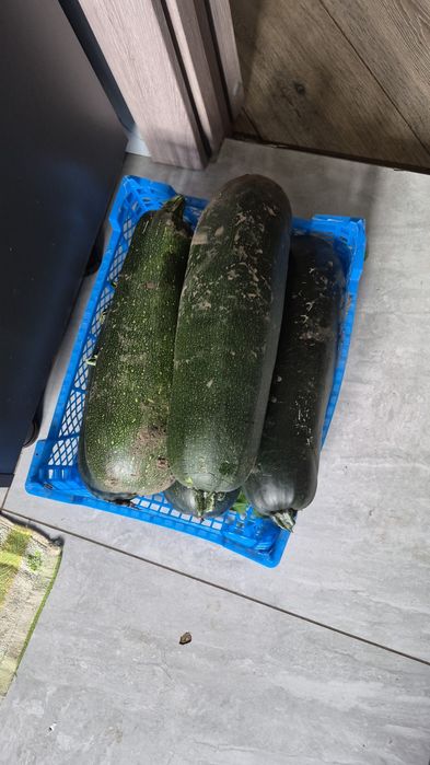 Овощи домащнии продам срочно