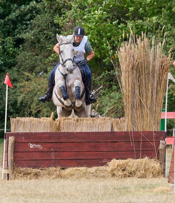 Cal de proba completă, de vanzare