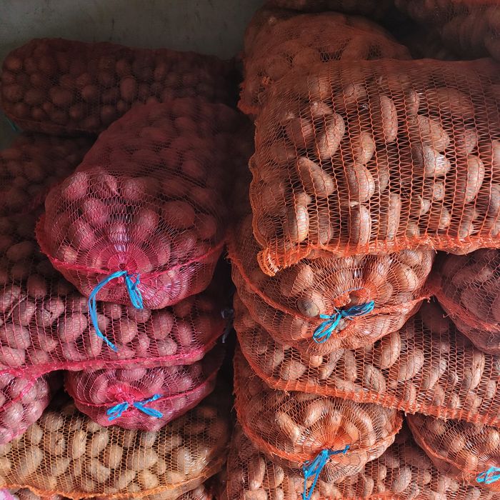 Cartofi de sămânță și consum