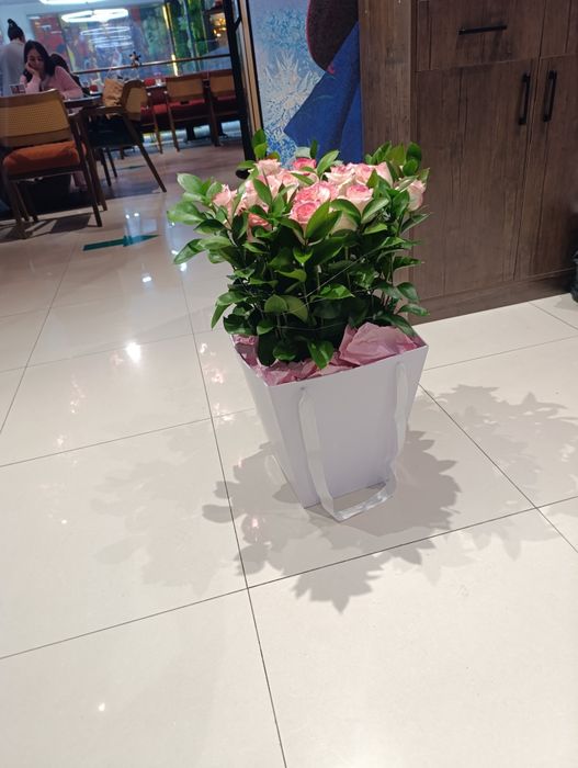 Svejiy gul bugungi sotiladi