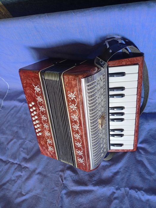 Акордеон за юноши