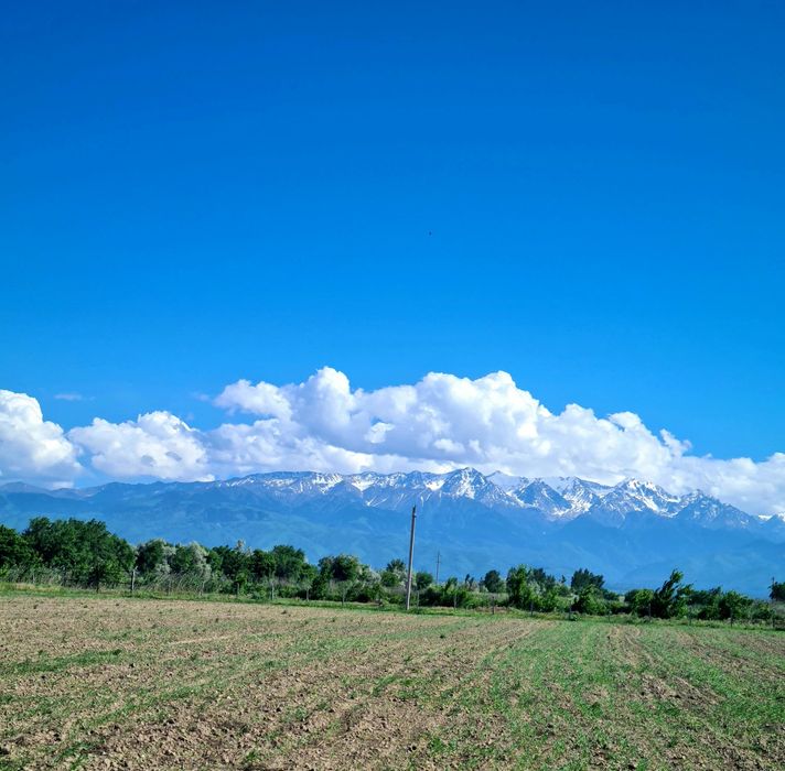 Земля! Продам 6,4 га земли.