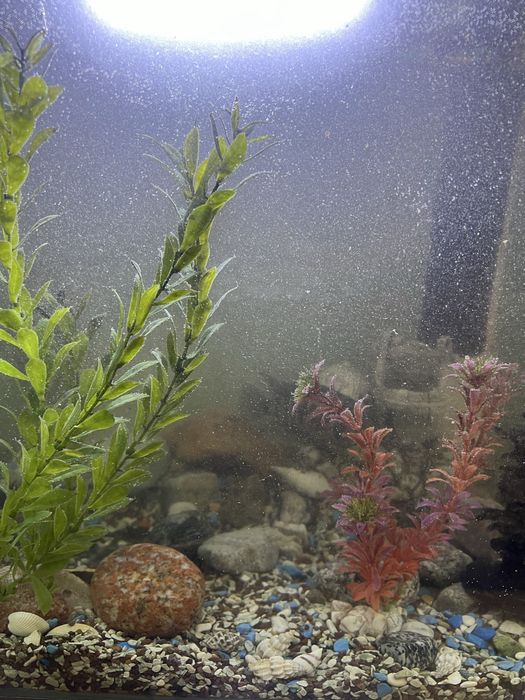 Продаю аквариум