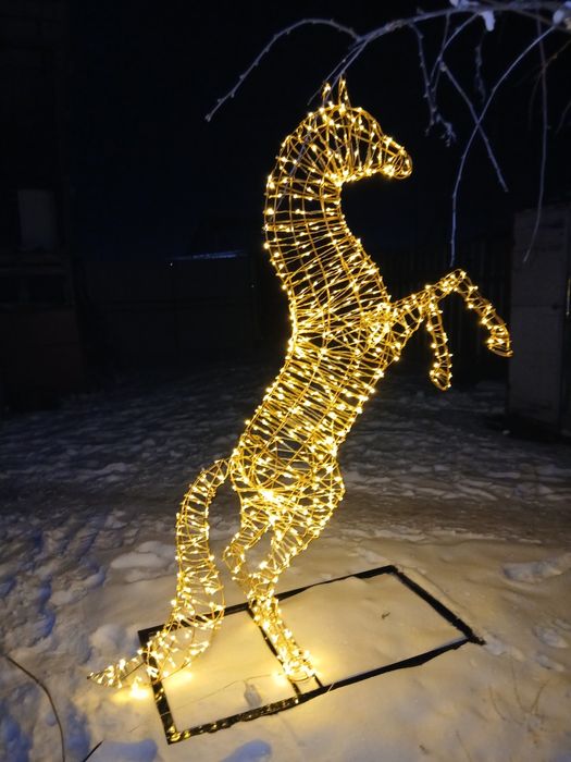 Символ 2026 года.