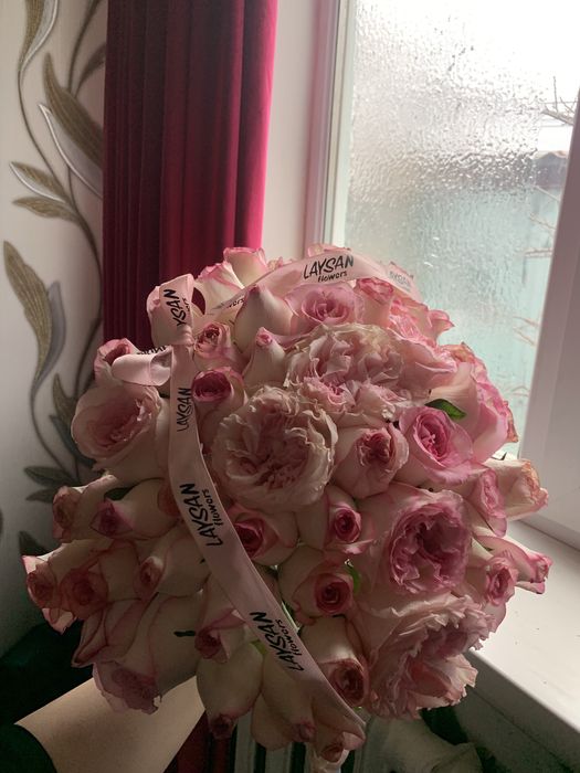 гул свежие бугинги