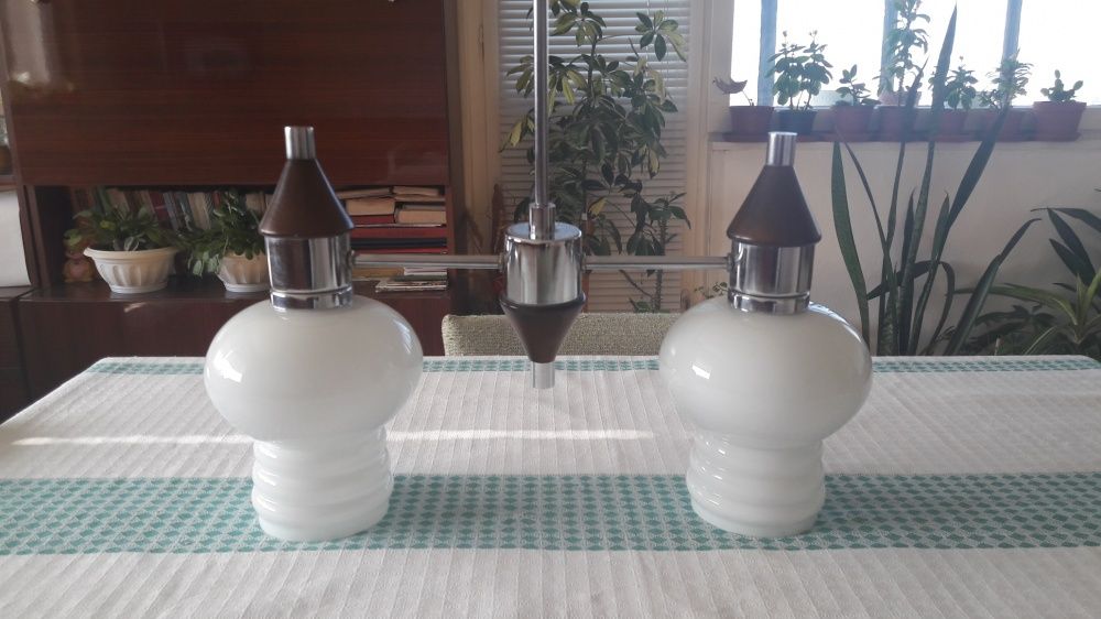 Полилей стабилен румънски петица и полилей двойка