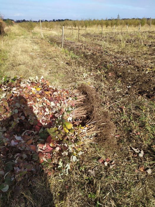 Продам Землю кха