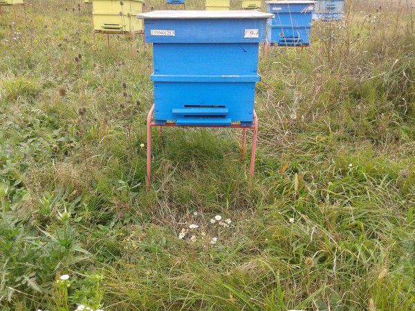 ТОП! Метални стойки за кошери