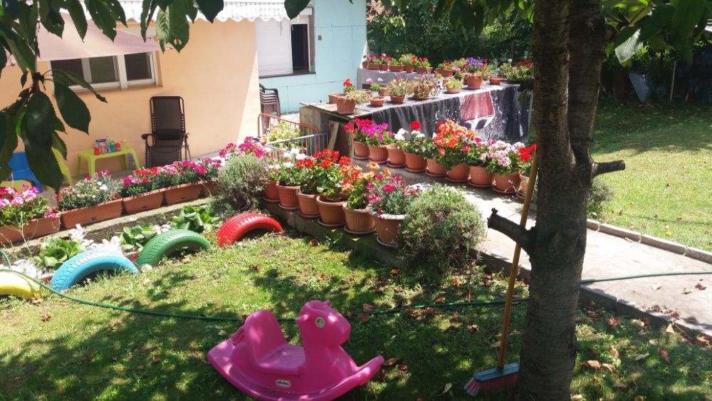 Детегледачка в гр.София- Драгалевци