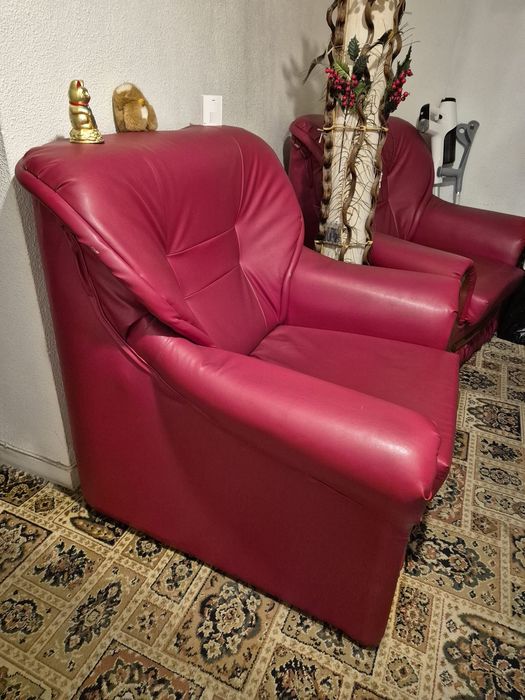 Fotolii piele si mobila hol