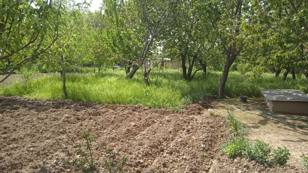 Dacha uchun yer sotiladi