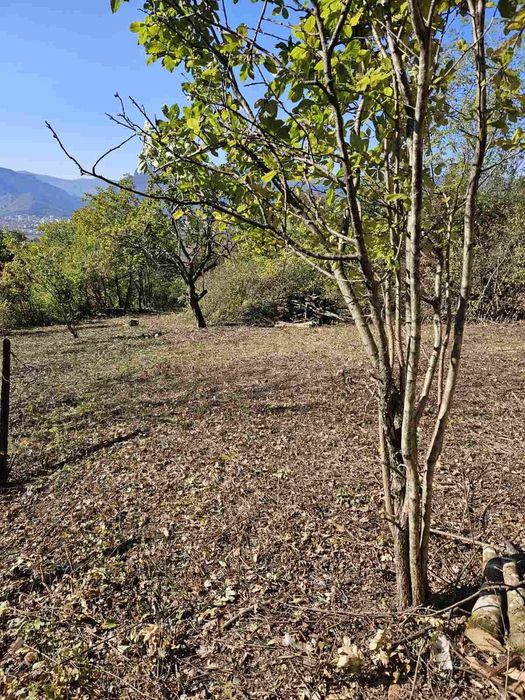 Продава се Къща в Враца, Студентски град - 41 кв.м за 224 €/кв.м - Снимка #6