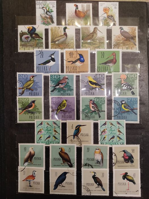 Почтовые марки. Альбом "Птицы".