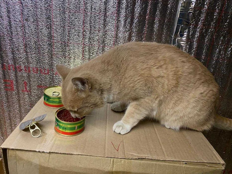 Икра красная / без посредников