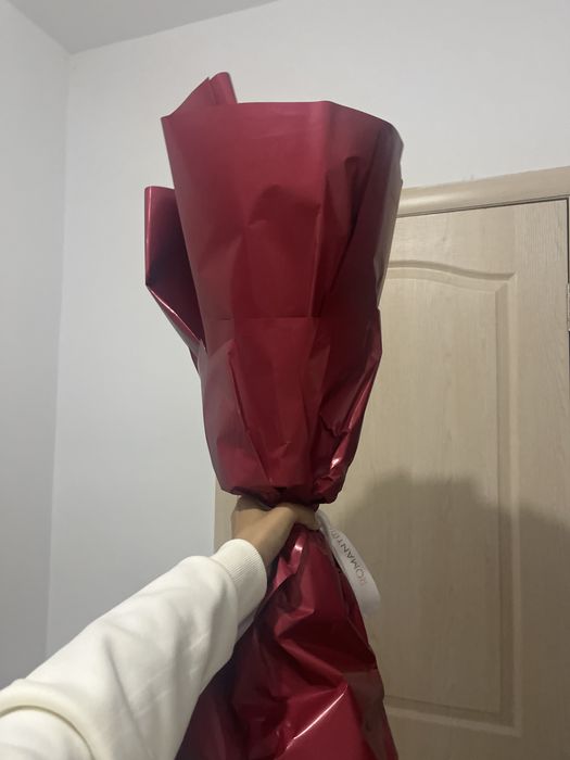 цветы гулдер роза